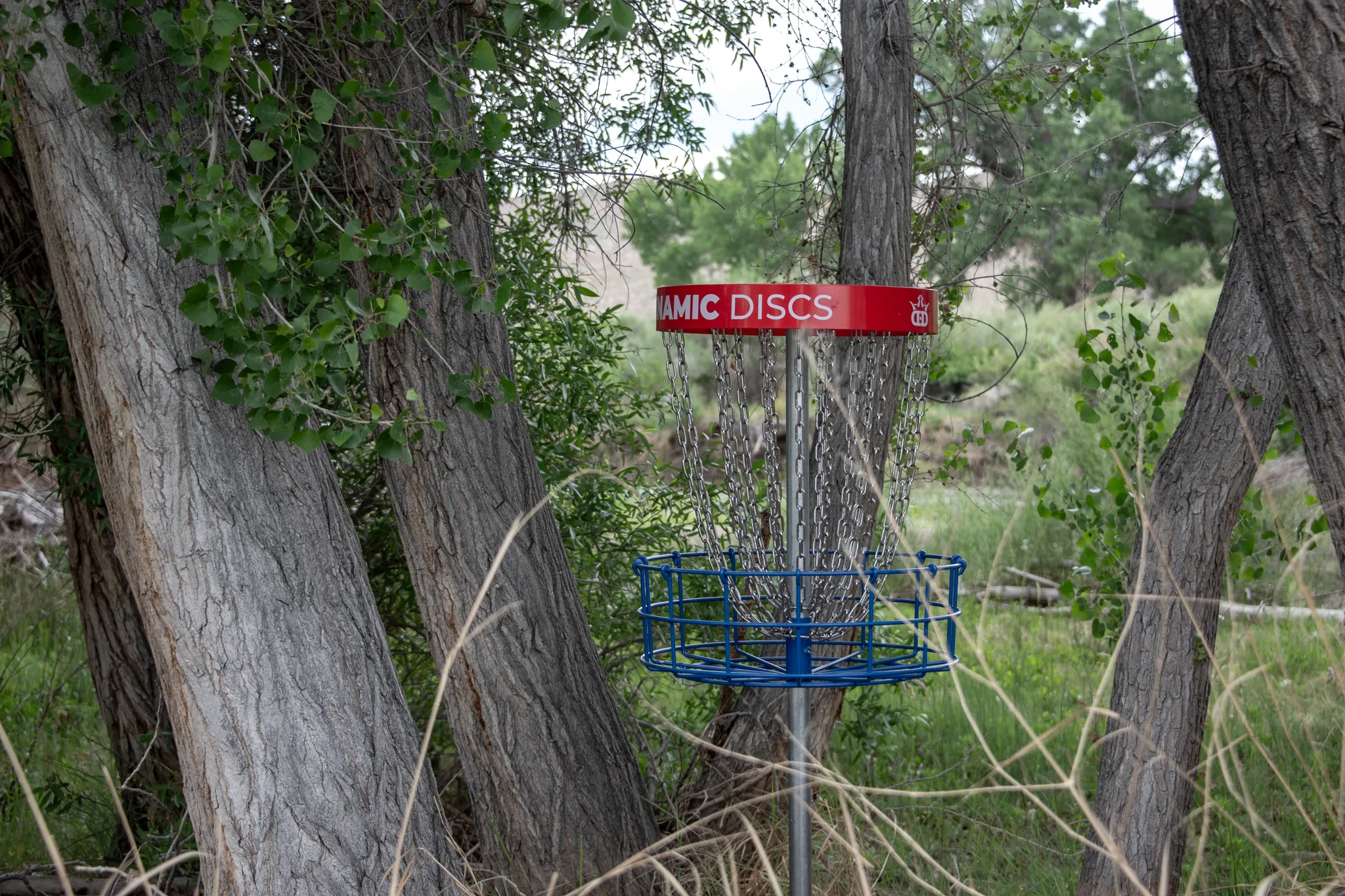 Walker River Campground