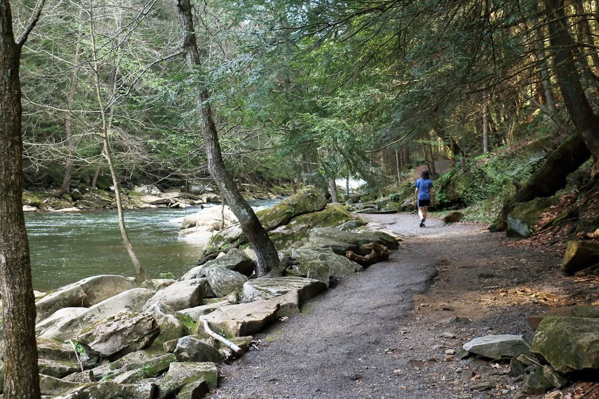 Mcconnells Mill State Park