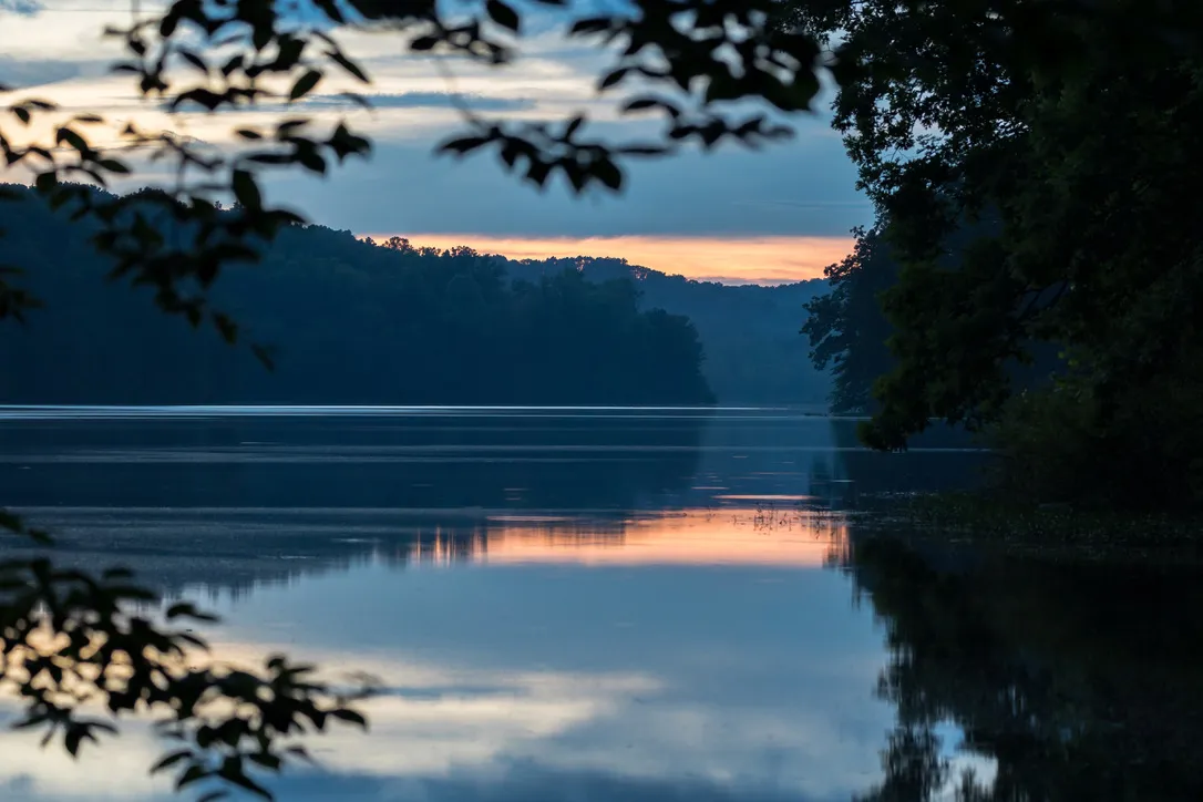 Yellowwood State Forest