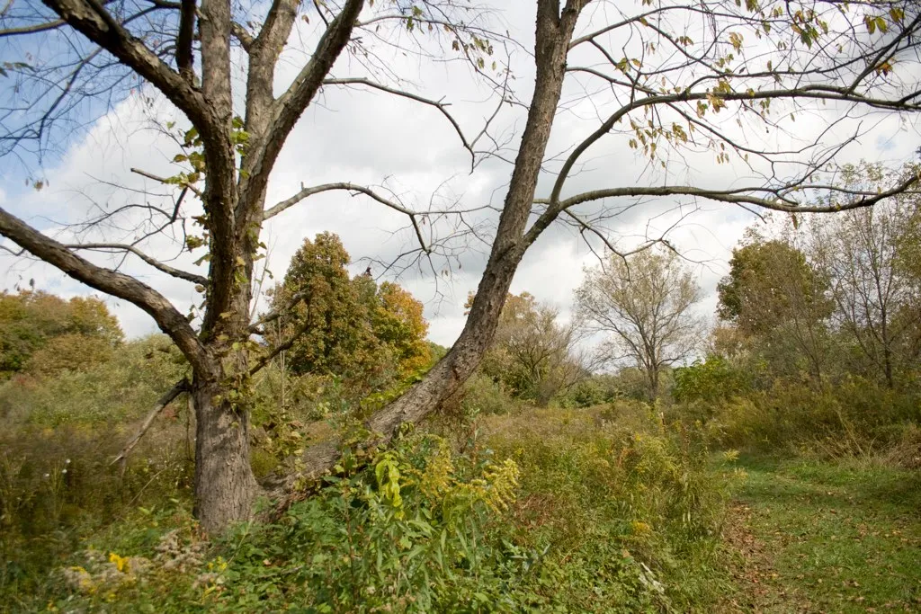 The Nature Inn At Bald Eagle