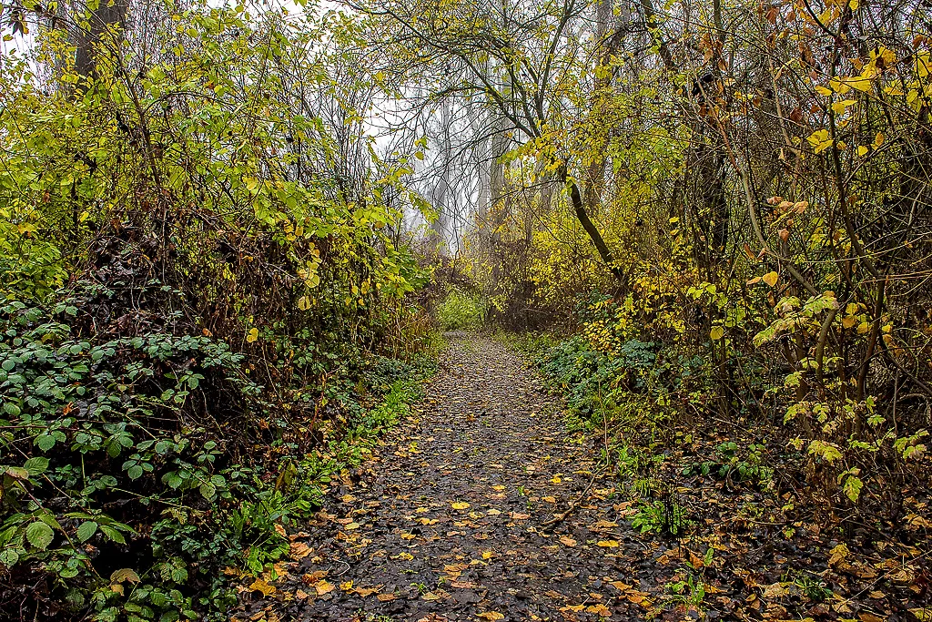 Colusa-Sacramento River State Recreation Campground
