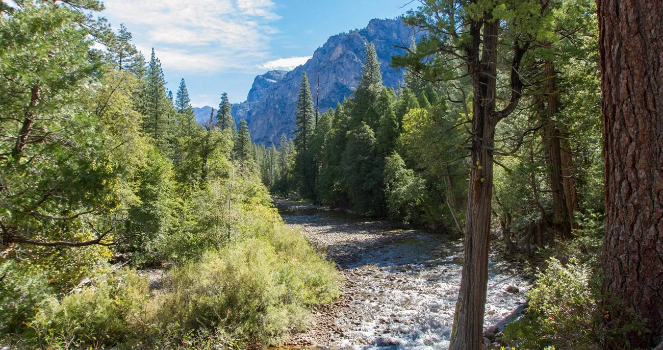 Canyon View Group Sites