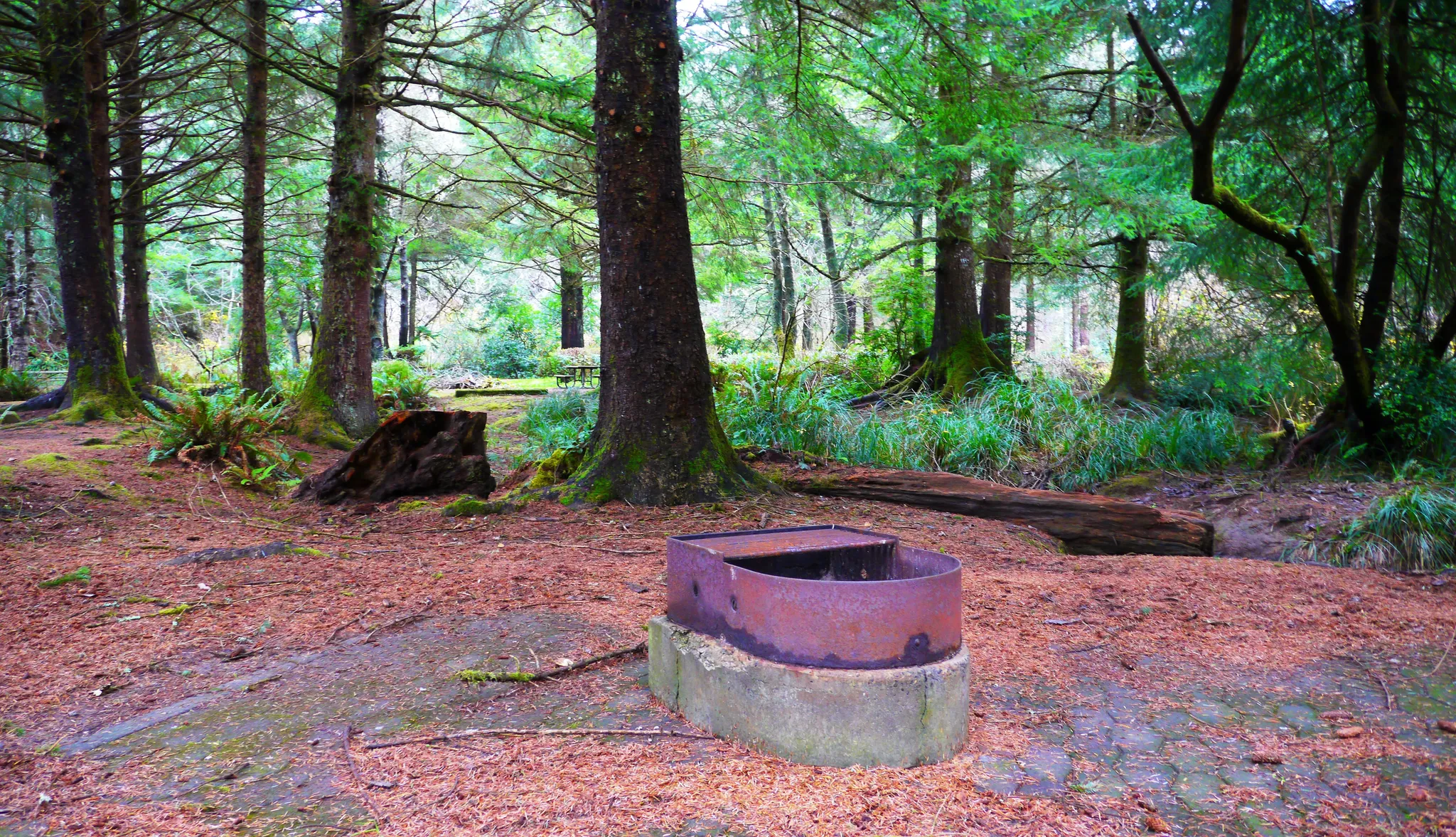Sunset Bay State Park