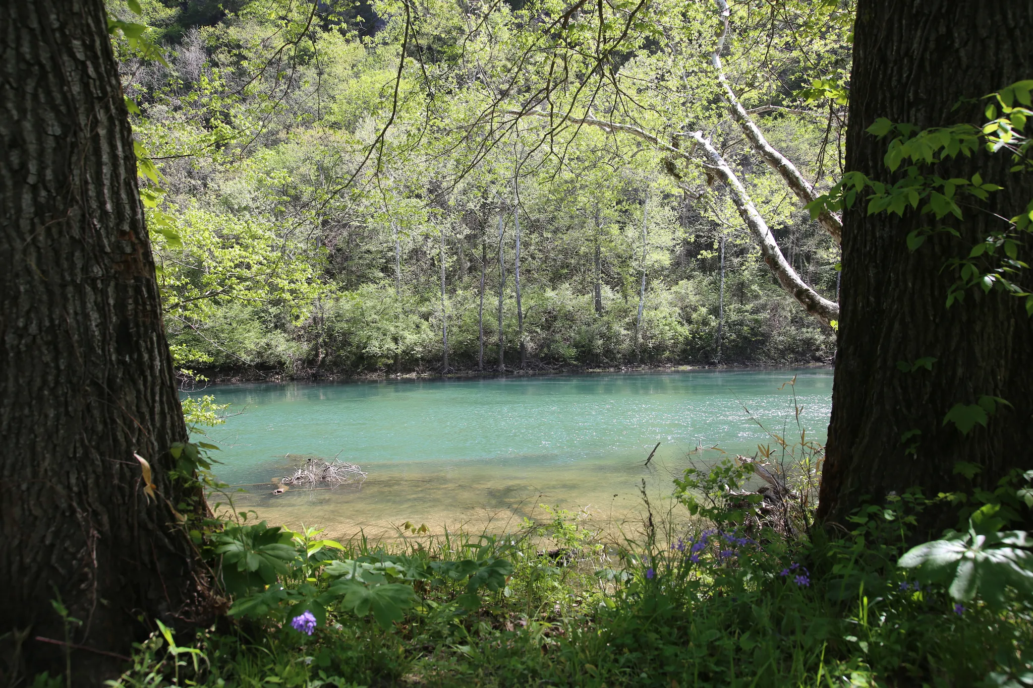 Ozark Campground