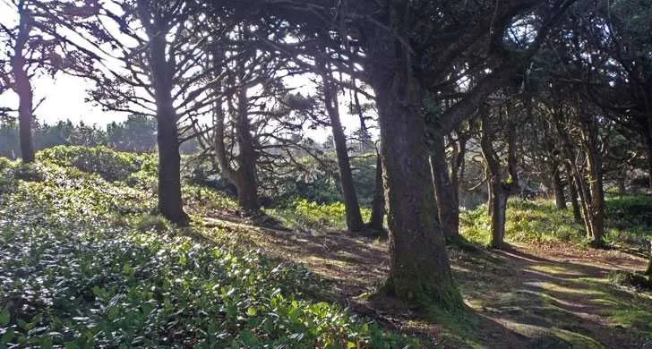 Viento State Park