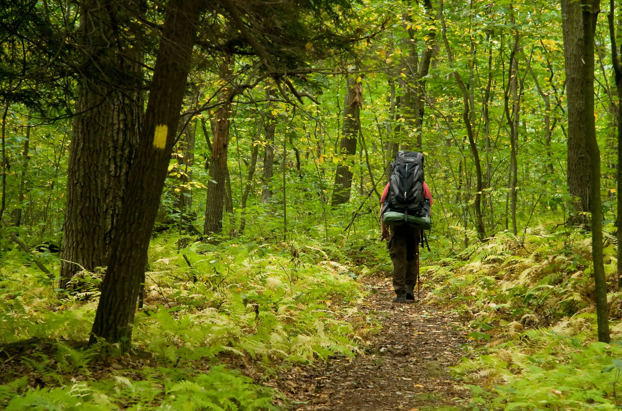 Oil Creek State Park