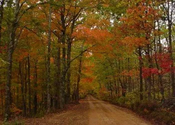 Bear Creek Lake Recreation Area