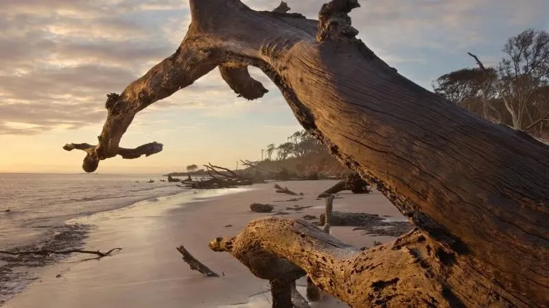 Little Talbot Island State Park Campground