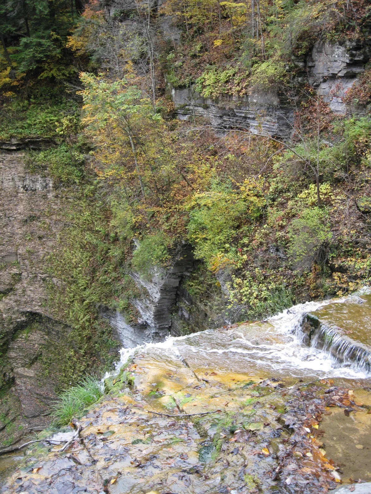 Robert H Treman State Park