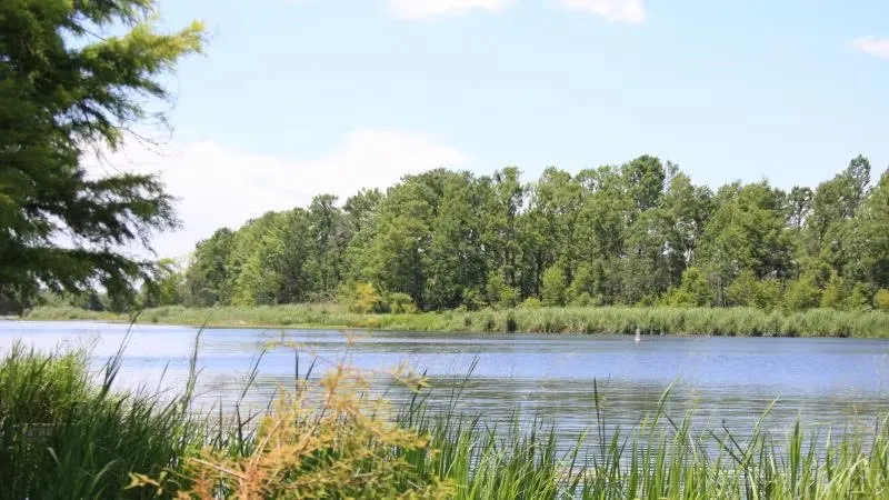 Lake View