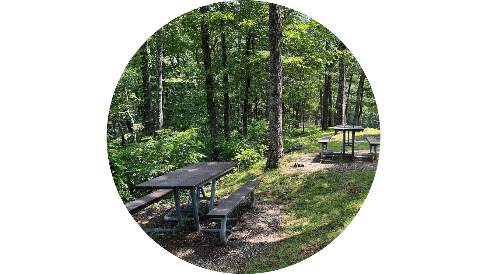 Look Rock Campground