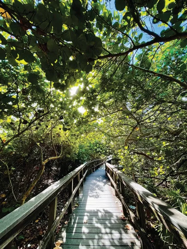 Curry Hammock State Park Campground