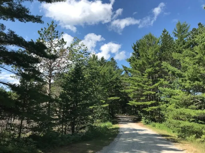 Kingston Lake State Forest Campground