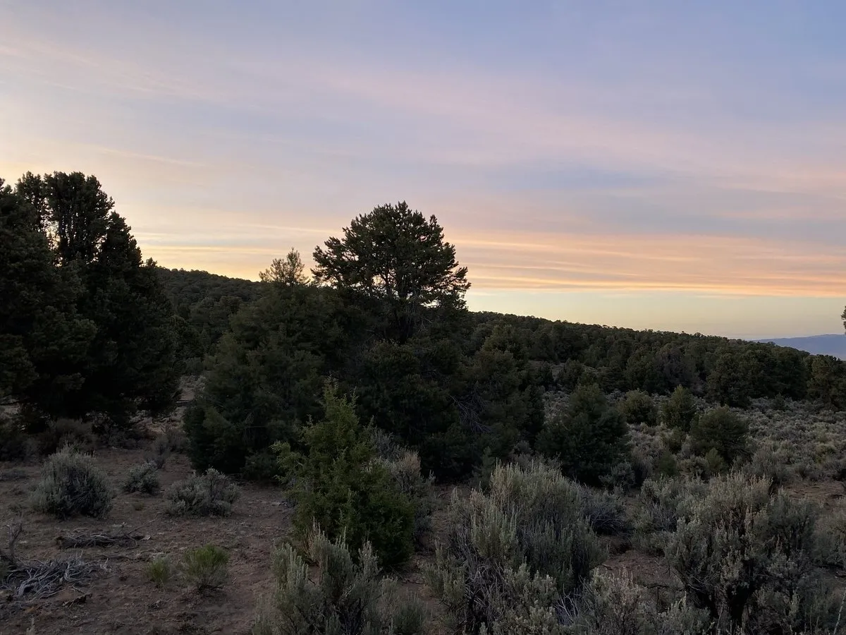 Bob Scott Campground