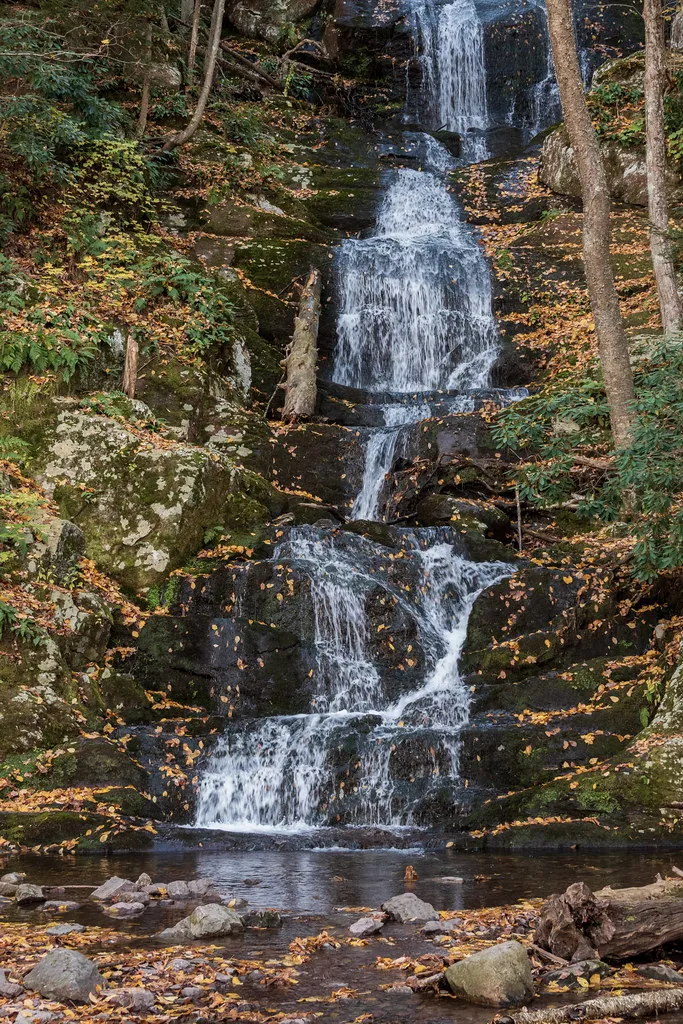 Stokes Campground