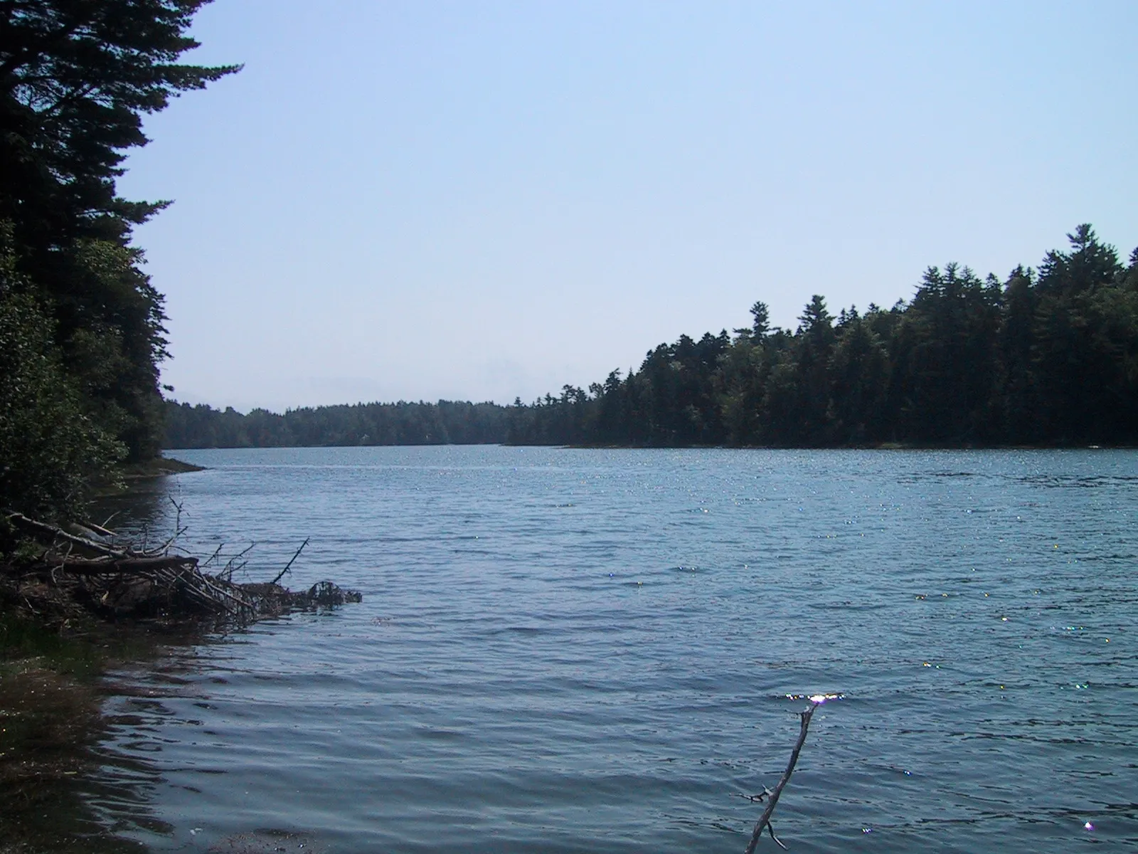 Cobscook Bay Campground