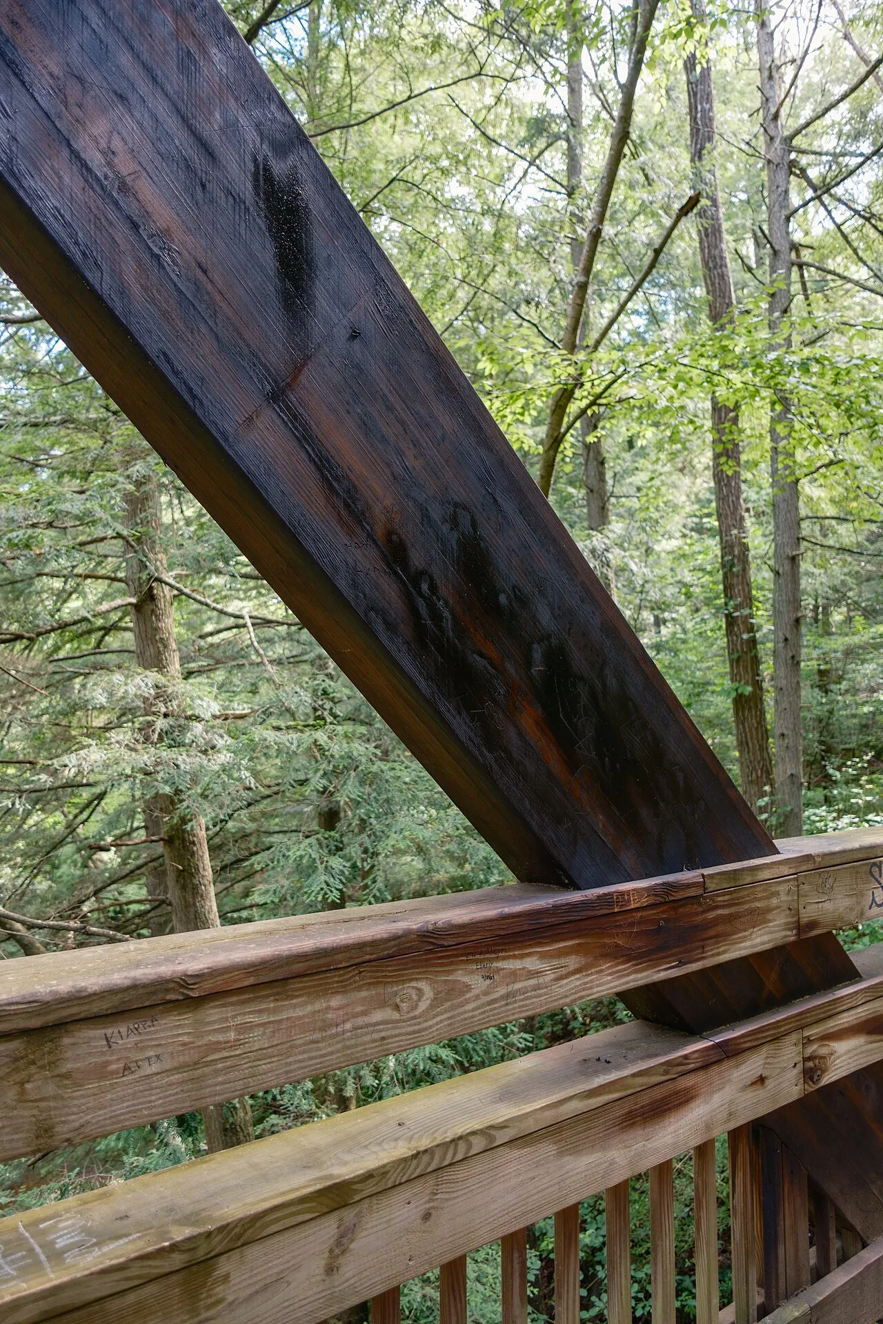 Hocking Hills Youth Group Campground