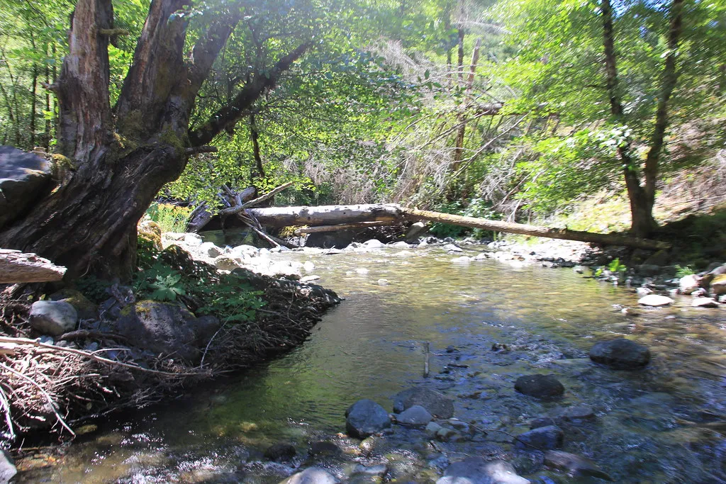 Indian Creek Recreation Area Campground