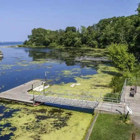 Wilson-Tuscarora State Park