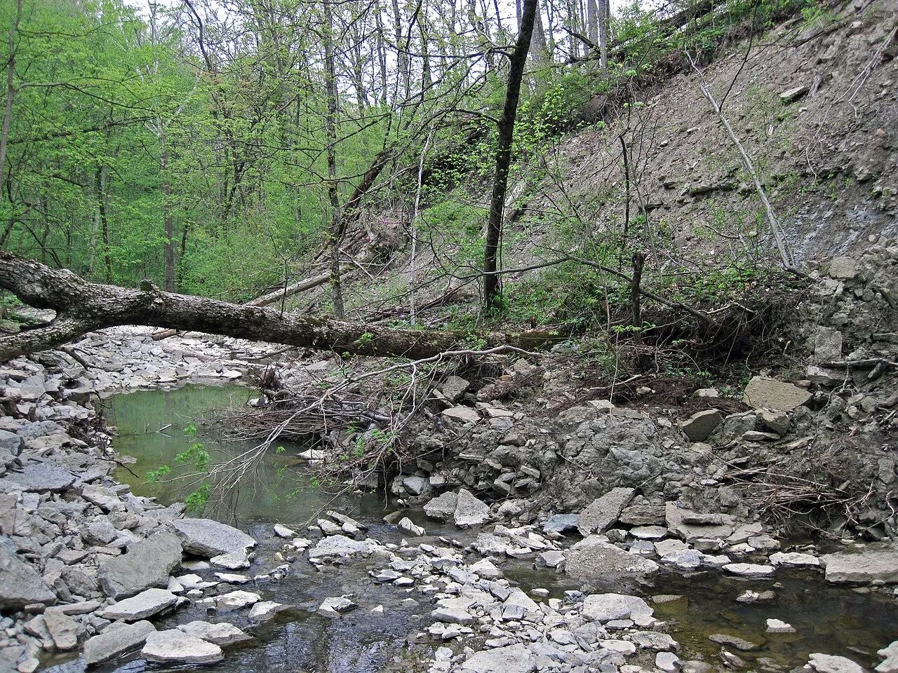 Caesar Creek Camp Loops A, B, C