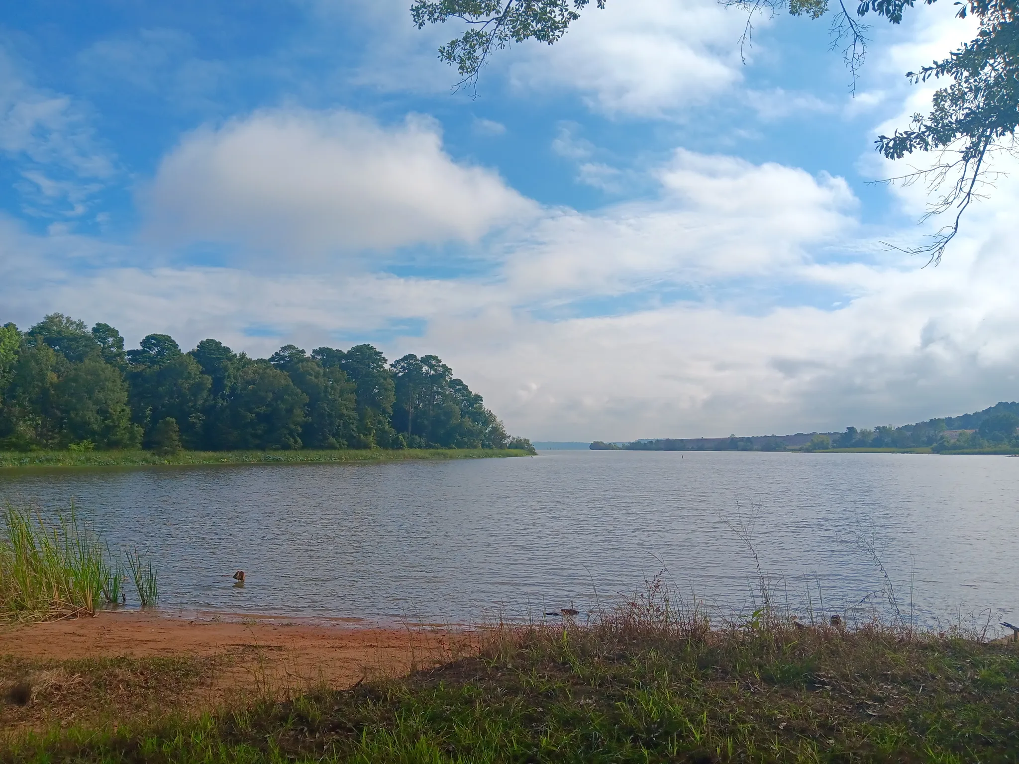 Millwood Campground