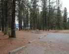 Gifford Group Site