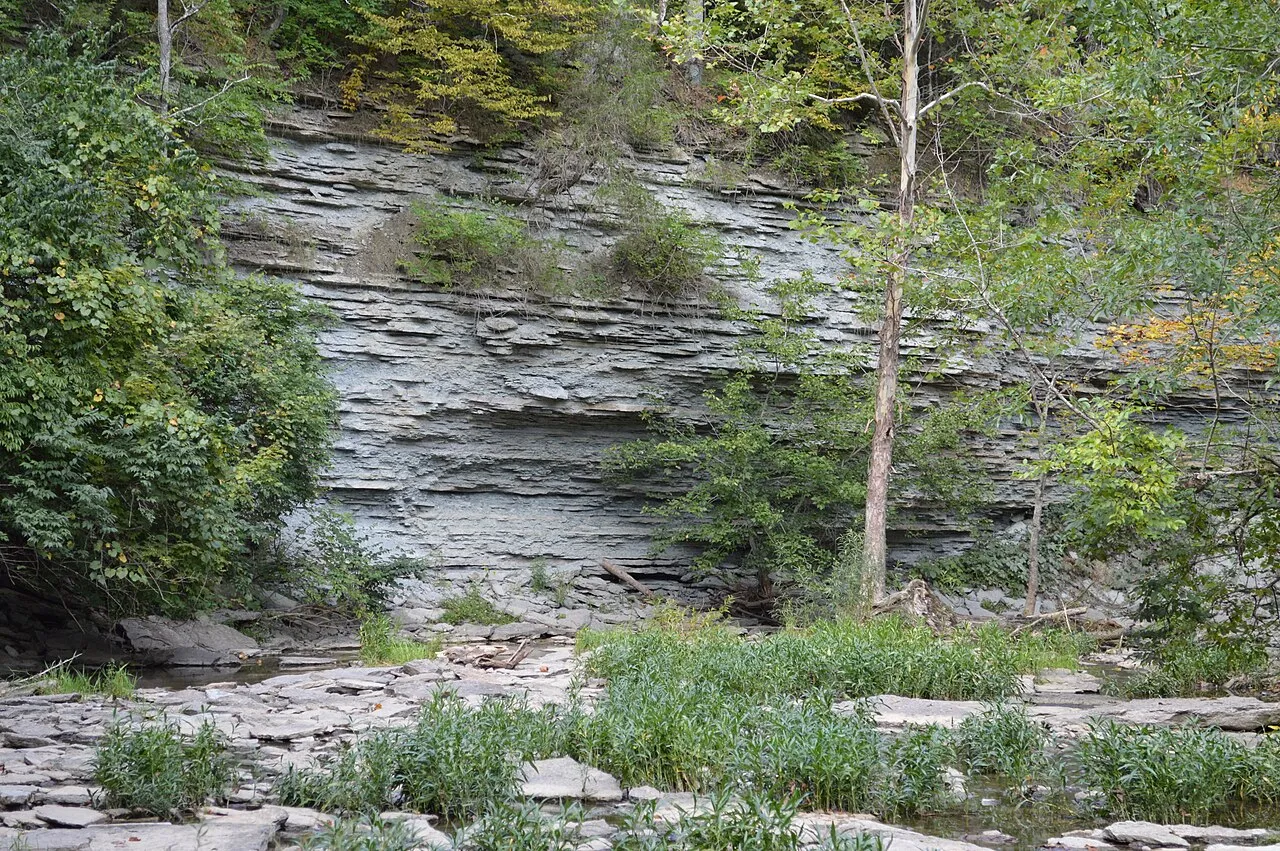 Caesar Creek Camp Loops A, B, C