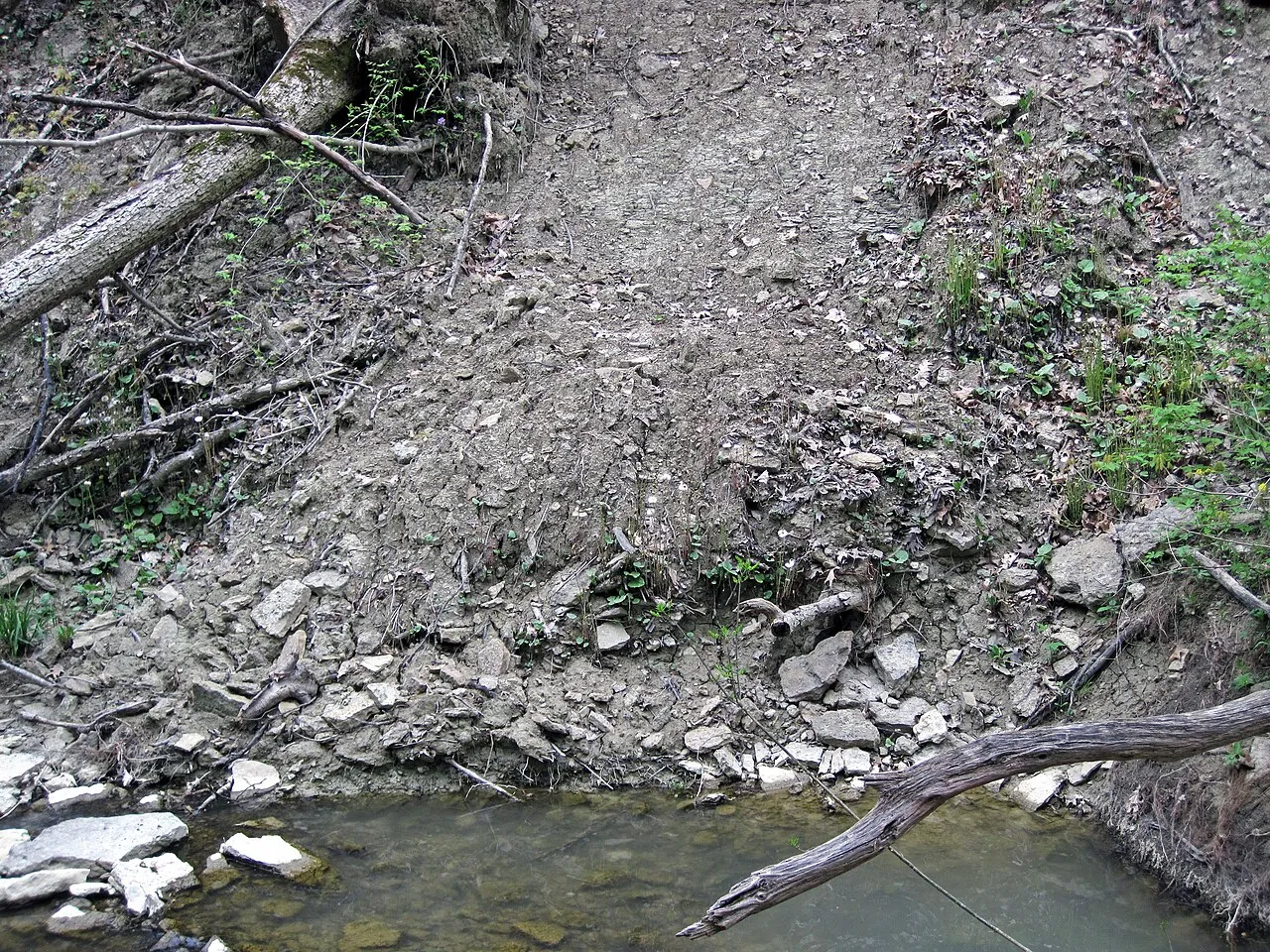 Caesar Creek Camp Loops A, B, C