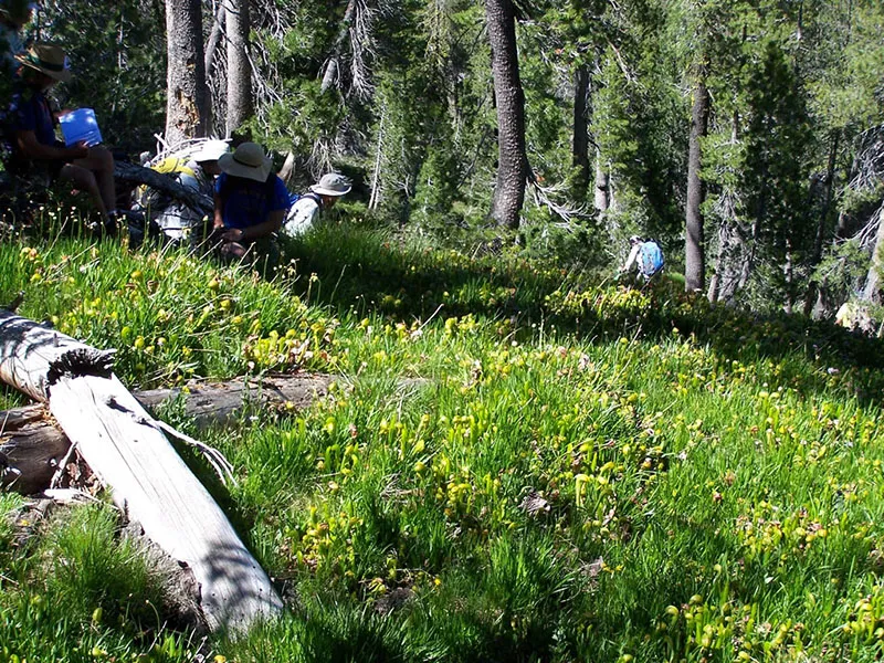 Faucherie Group Campground