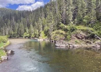 Turner Flat Campground