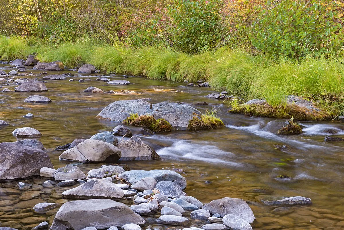 Tollbridge Campground