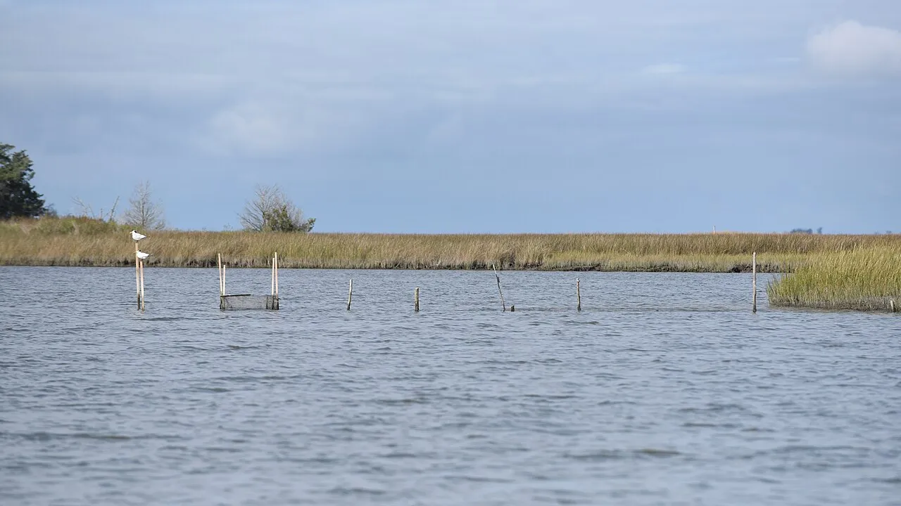 Janes Island State Park