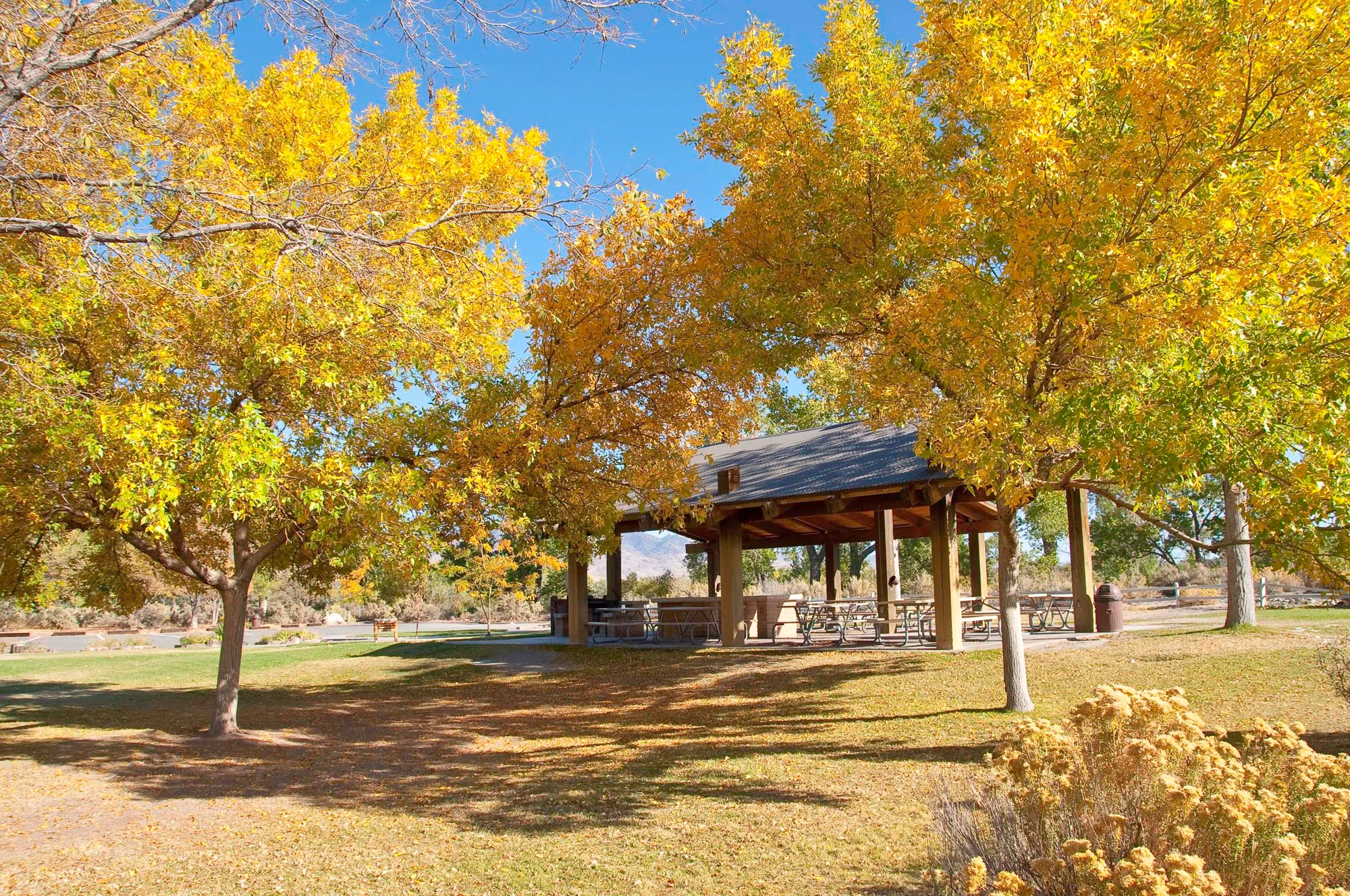 Dayton Campground