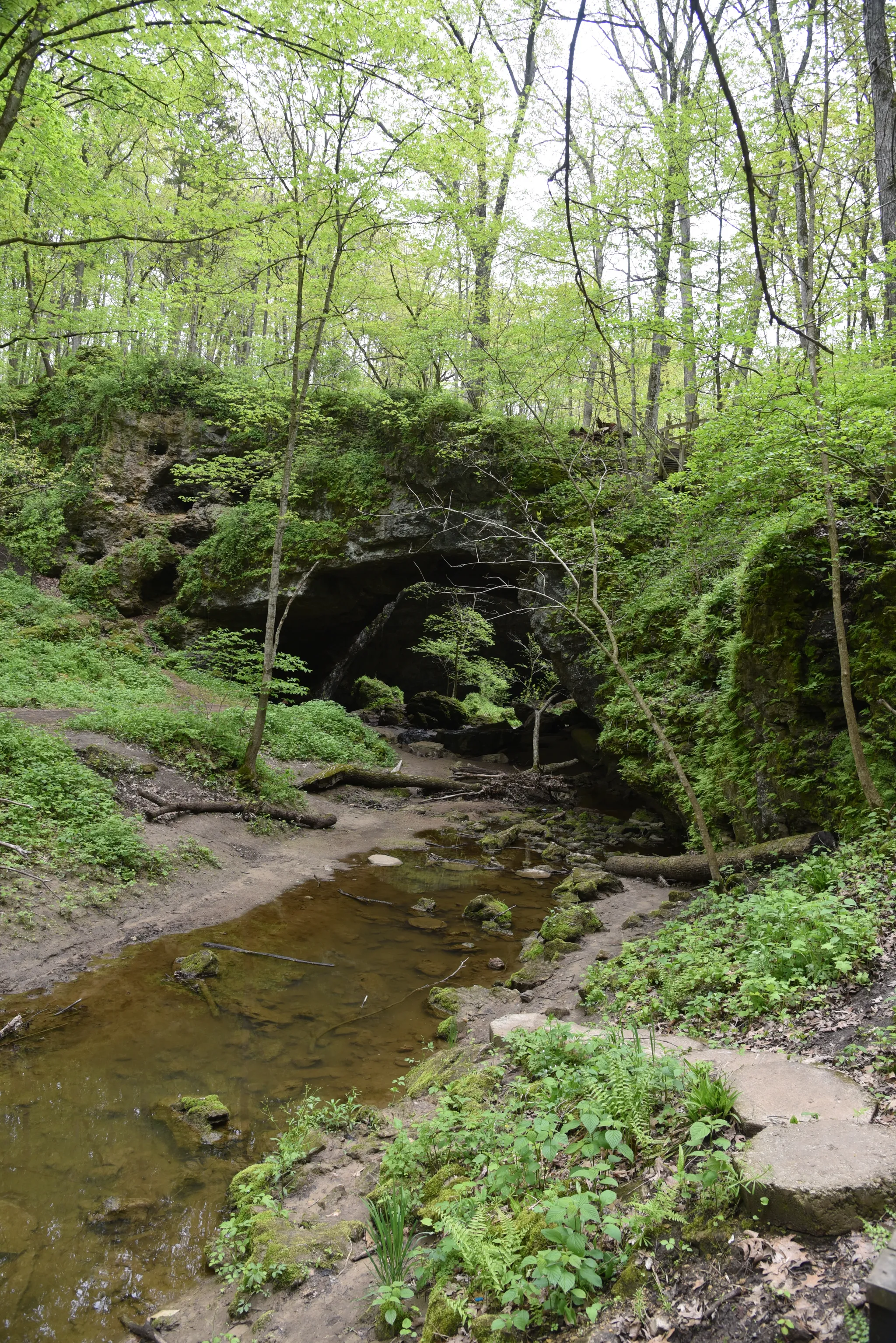 Maquoketa Caves State Park