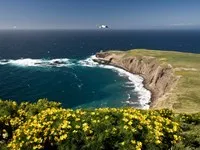 Santa Barbara Island