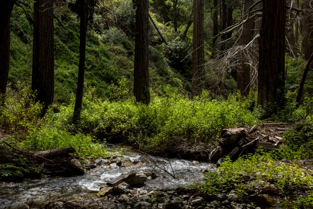 Environmental Group Campground