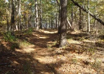 Crystal Campground