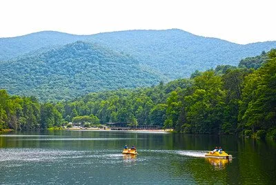 Vogel State Park
