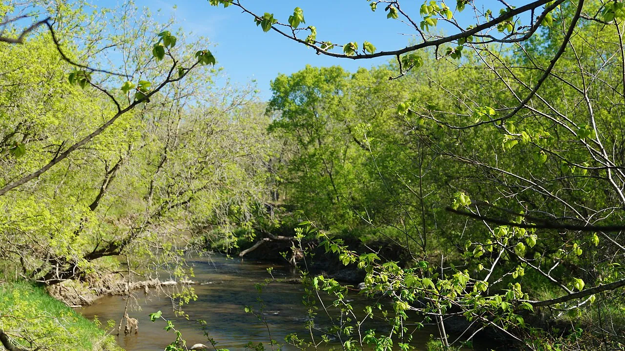 Turtle River Campground