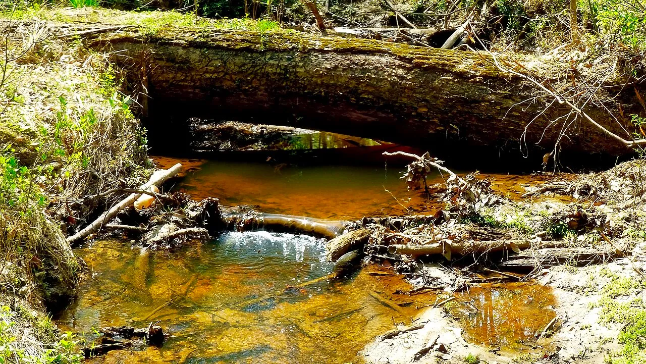 Smallwood State Park