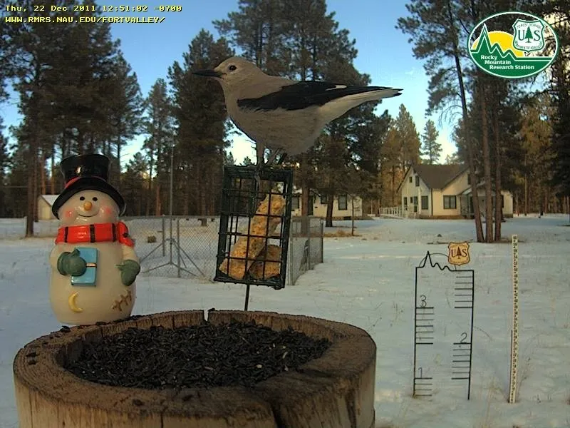 Appletree Group Campground
