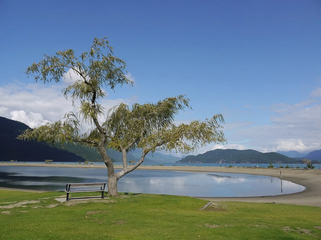 Harrison Lake North Campground