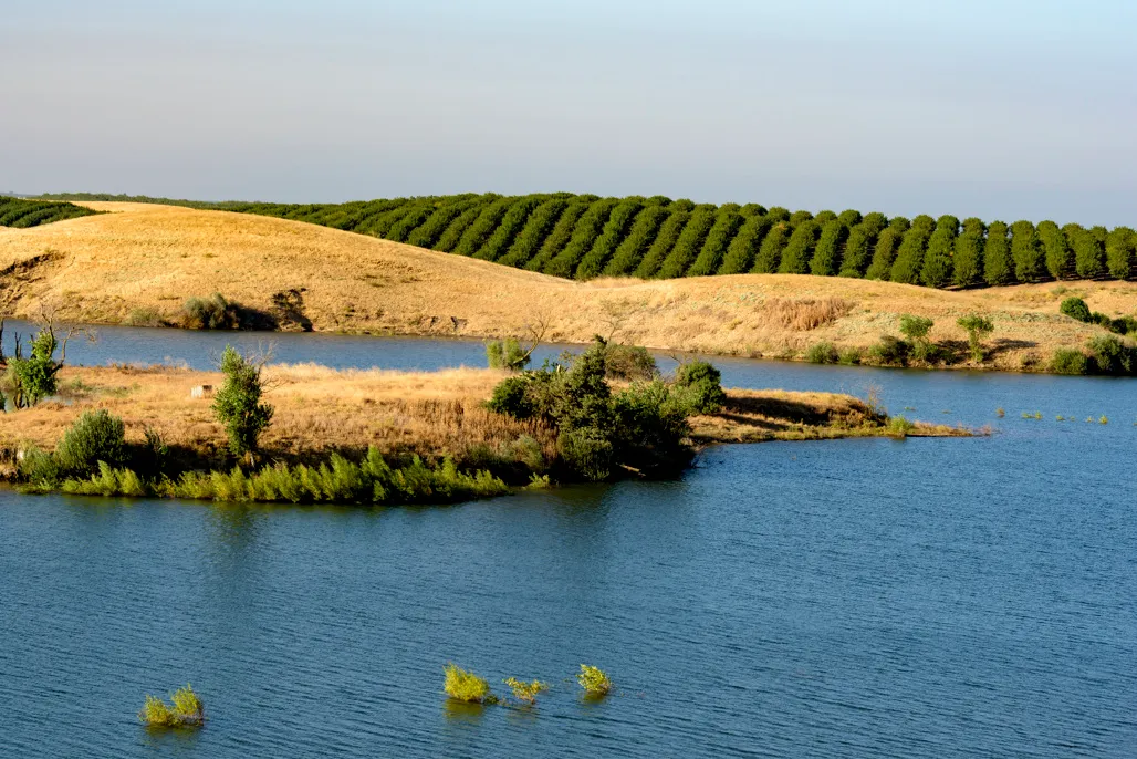 Turlock Lake State Recreation Area Campground