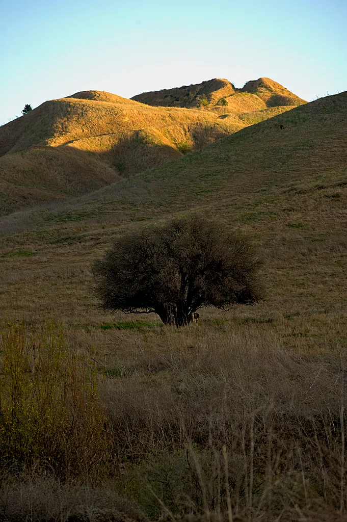 Rolling M. Ranch Campground