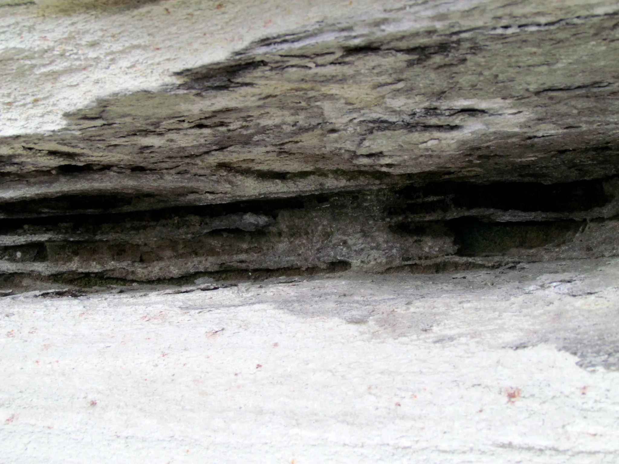 Pilot Mountain State Park