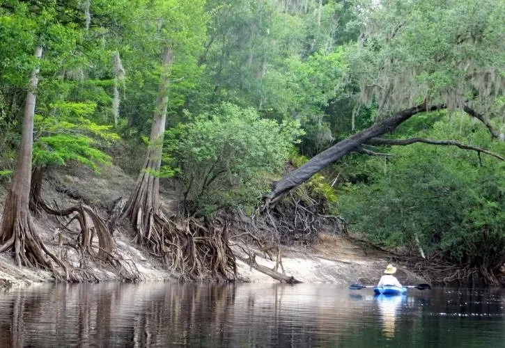 Suwannee