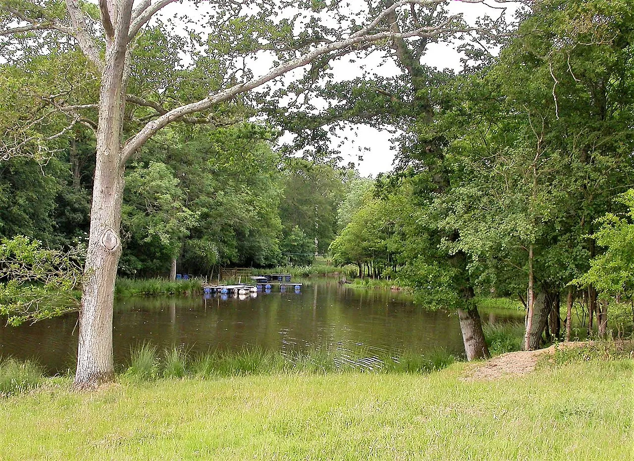 Cottonwood Campground