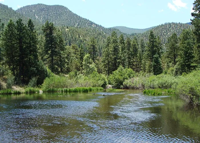 Cimarron Canyon