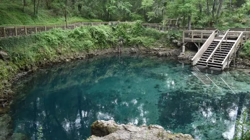 Peacock Slough