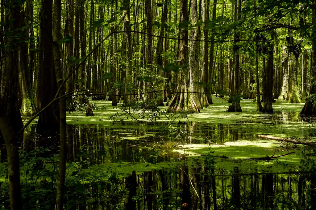Lake Chicot Campground
